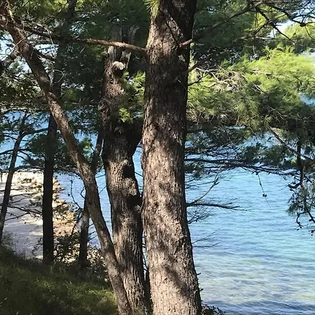 In Karin Gornji With Sea View, Terrace, Air Conditioning, Wi-fi 오브로박